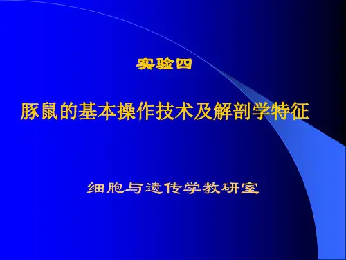 实验四 豚鼠的基本操作技术