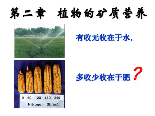 第二章  植物的矿质营养