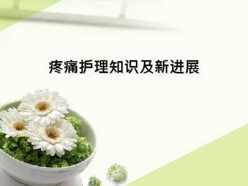 疼痛护理知识及新进展