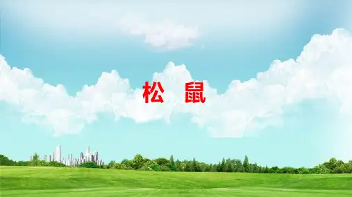 部编版语文五年级上册17《松鼠》课件