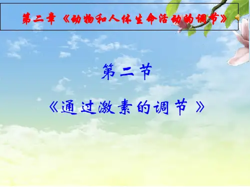 人教版高中生物必修3第2章第二节第2节通过激素的调节 课件(共36张PPT)