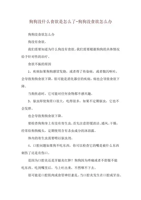 狗狗没什么食欲是怎么了-狗狗没食欲怎么办