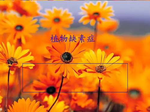 植物营养 植物缺素症状表现 ppt课件