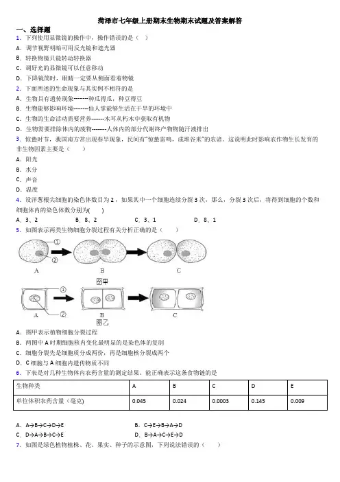 菏泽市七年级上册期末生物期末试题及答案解答