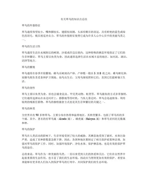 有关翠鸟的知识点总结
