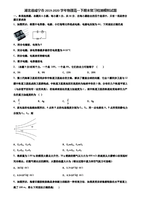 湖北省咸宁市2019-2020学年物理高一下期末复习检测模拟试题含解析