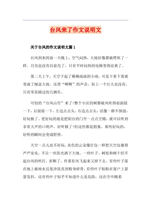 台风来了作文说明文