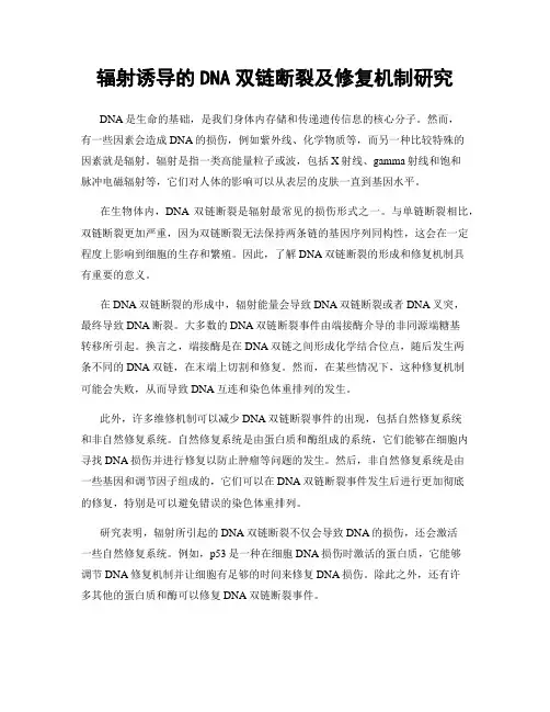 辐射诱导的DNA双链断裂及修复机制研究