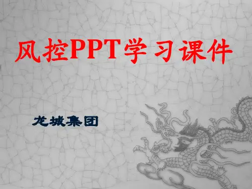 风控培训课件
