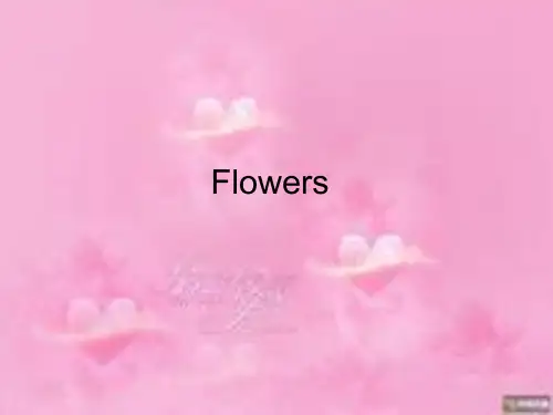 世界各国国花图片及英语名字 简介