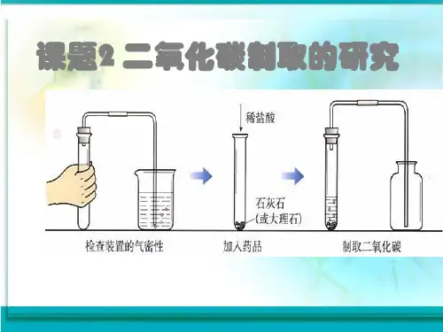 人教版化学九年级上册 6.2 二氧化碳制取的研究 课件 