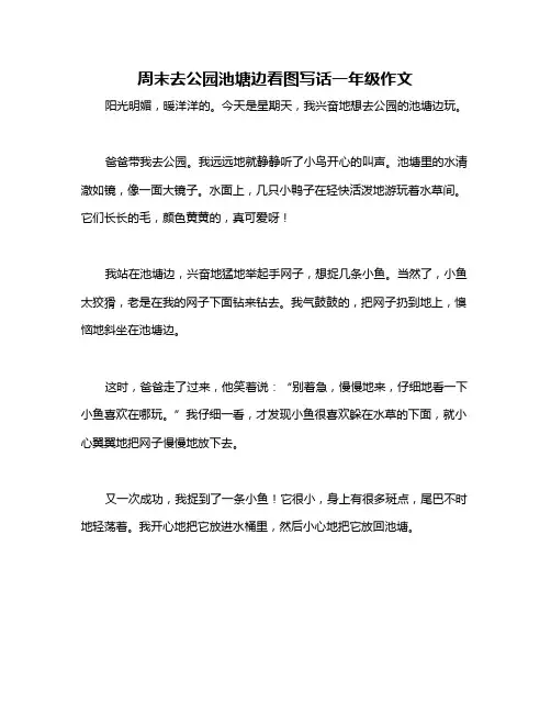 周末去公园池塘边看图写话一年级作文