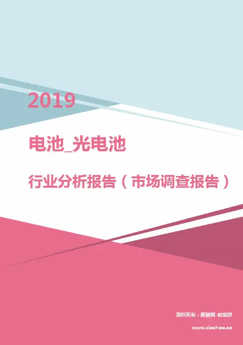 2019年电池_光电池行业分析报告(市场调查报告)