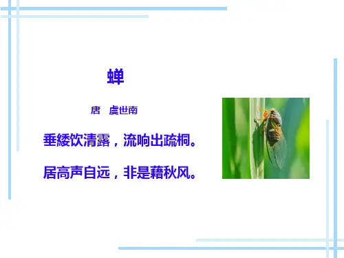 第21课《蝉》-八年级语文上册同步课件(部编版)