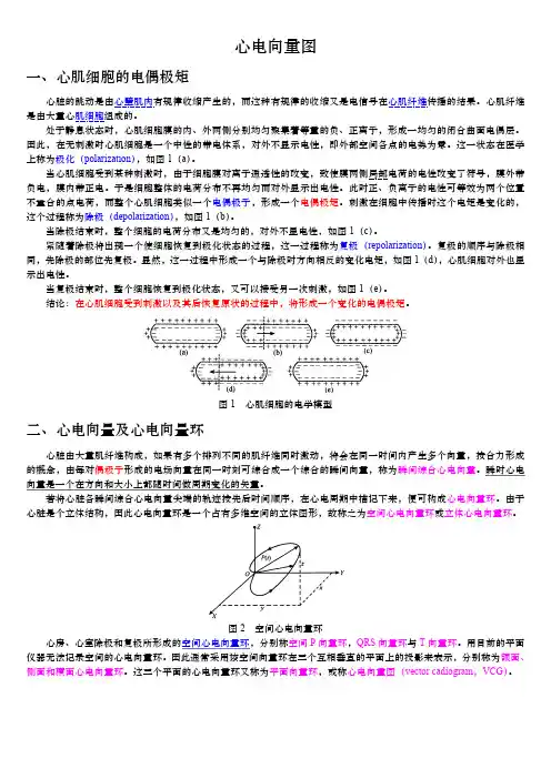 心电向量图 2