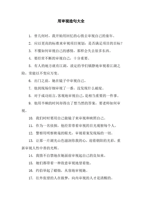 用审视造句大全