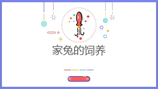 家兔的饲养(课件)五年级上册劳动