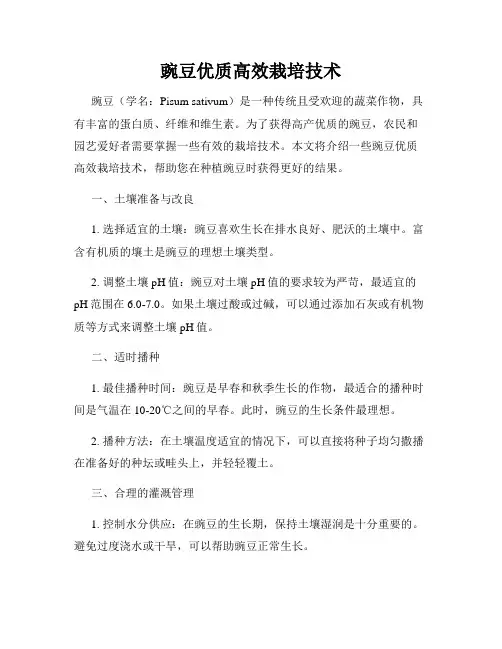 豌豆优质高效栽培技术