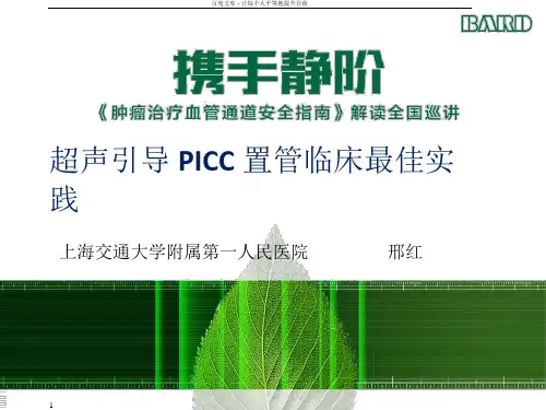 超声引导下置管的最佳实践