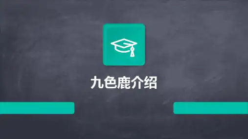 介绍九色鹿的ppt课件