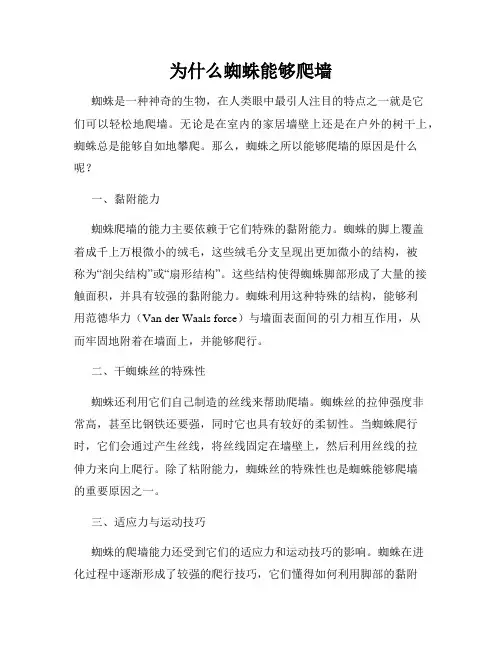 为什么蜘蛛能够爬墙