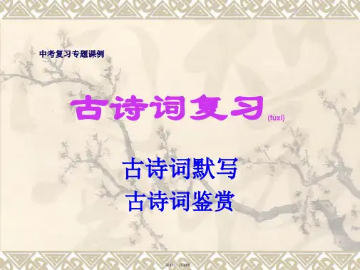 2017年中考古诗词鉴赏总复习课件(共30张)