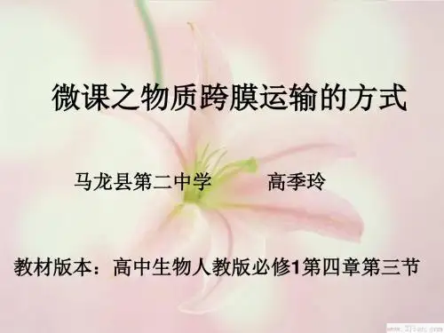 物质跨膜运输的方式
