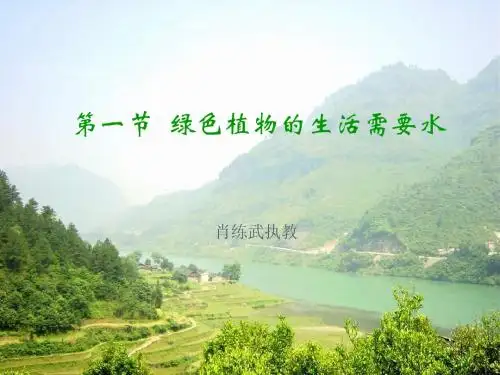 绿色植物的生活需要水