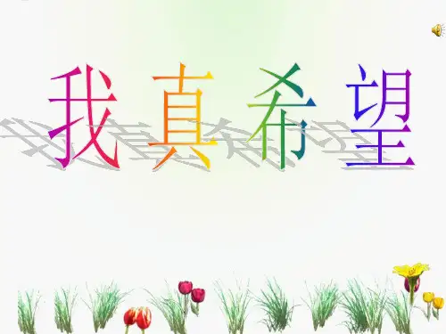 《我真希望》PPT课件四