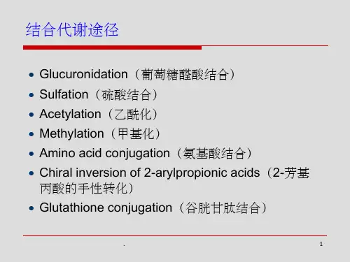 药物代谢结合反应