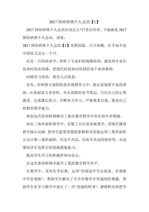 2017国培研修个人总结【1】.doc
