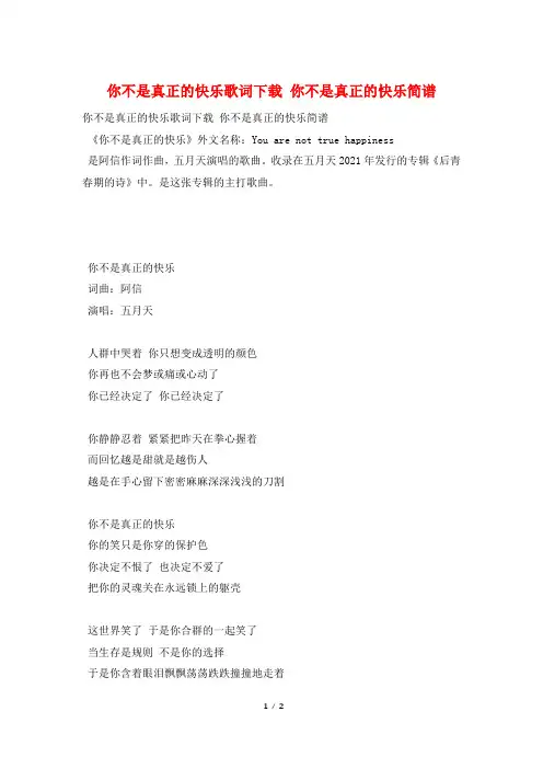 你不是真正的快乐歌词下载 你不是真正的快乐简谱
