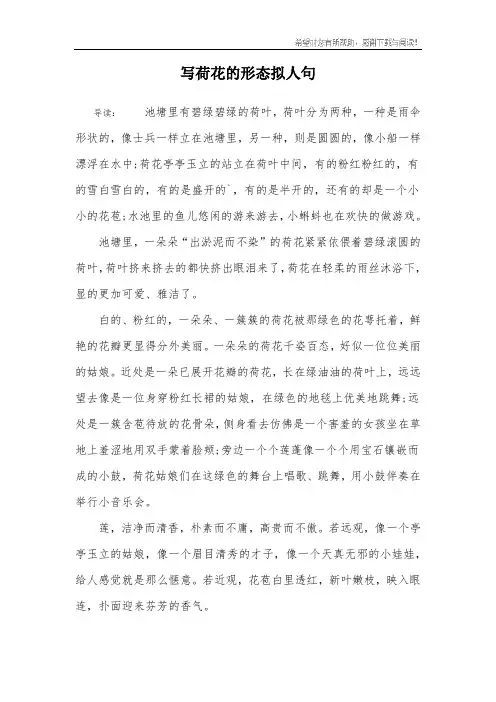 写荷花的形态拟人句