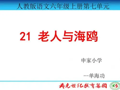 新人教版六年级语文上册第七单元第21课《老人与海鸥》课件