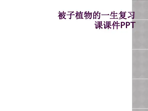 被子植物的一生复习课课件PPT