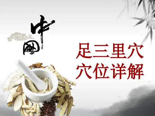 中医穴位详解：足三里穴