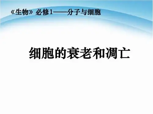 人教版高中生物必修(一)6.3细胞的衰老和凋亡 课件
