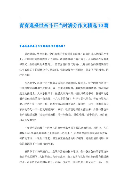 青春逢盛世奋斗正当时满分作文精选10篇