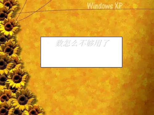 数怎么不够用了ppt 北师大版