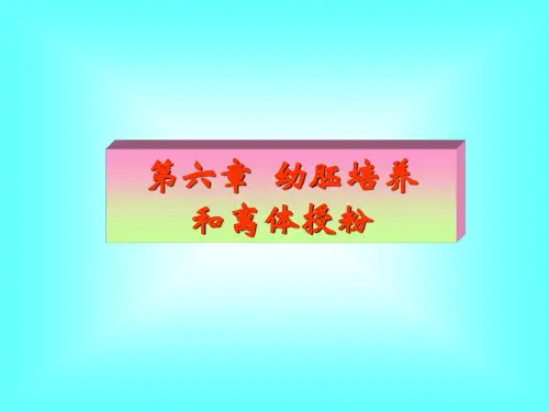第6章  幼胚培养和离体授粉