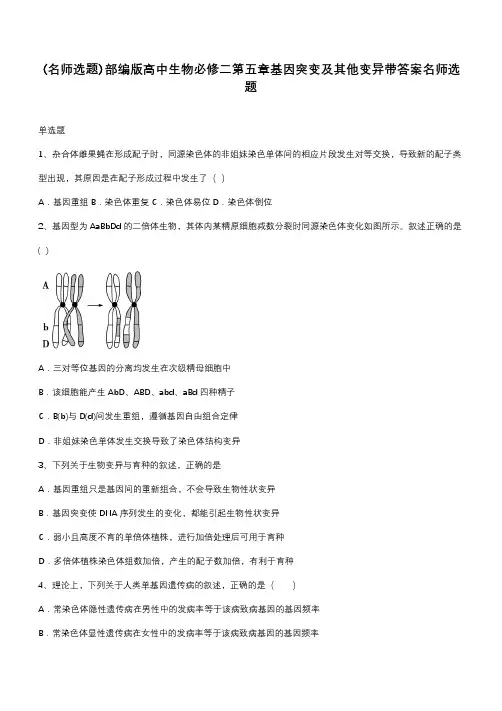 部编版高中生物必修二第五章基因突变及其他变异带答案名师选题