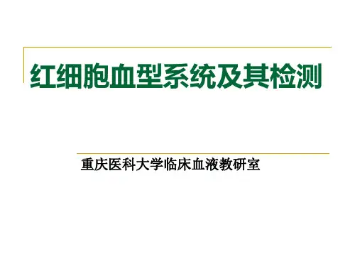 血型的鉴定方法及操作全解