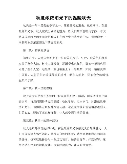 秋意浓浓阳光下的温暖秋天