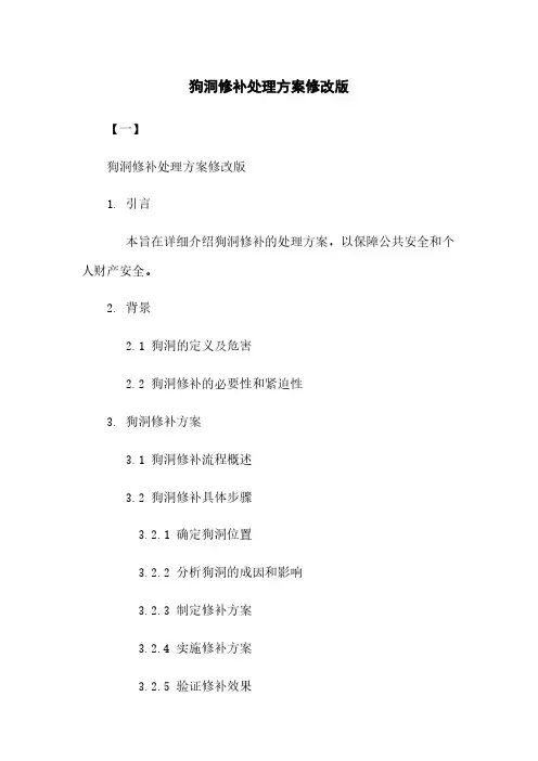 狗洞修补处理方案修改版