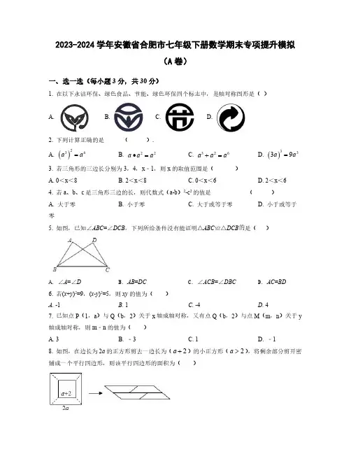 2023-2024学年安徽省合肥市七年级下学期数学期末质量检测模拟合集2套(含解析)