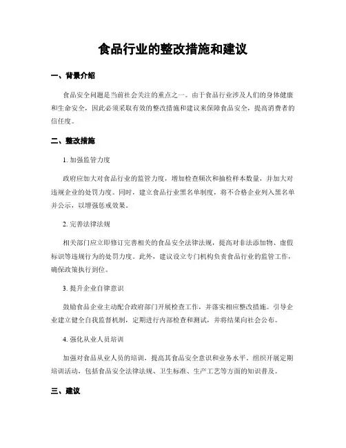食品行业的整改措施和建议