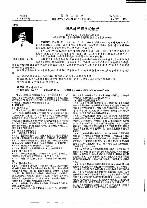 臂丛神经损伤的治疗