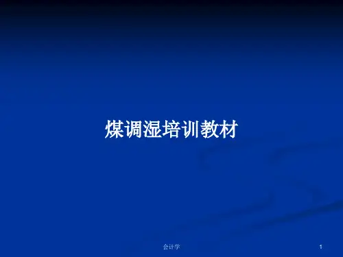煤调湿培训教材PPT学习教案
