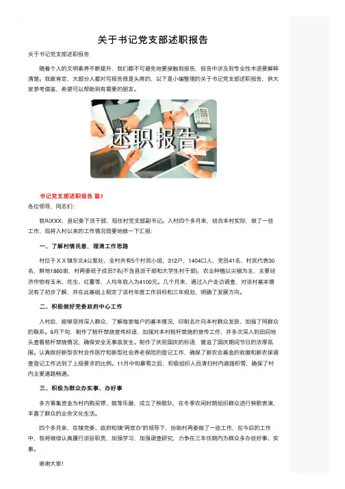 关于书记党支部述职报告
