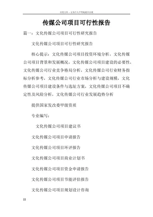 传媒公司项目可行性报告doc